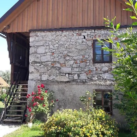 Apartma Sterle アパート *