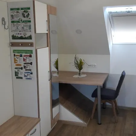 Apartma Sterle 아파트 *