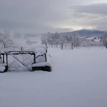 Apartma Sterle アパート