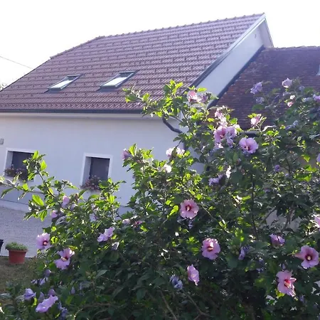 Daire Apartma Sterle Stari Trg pri Lozu