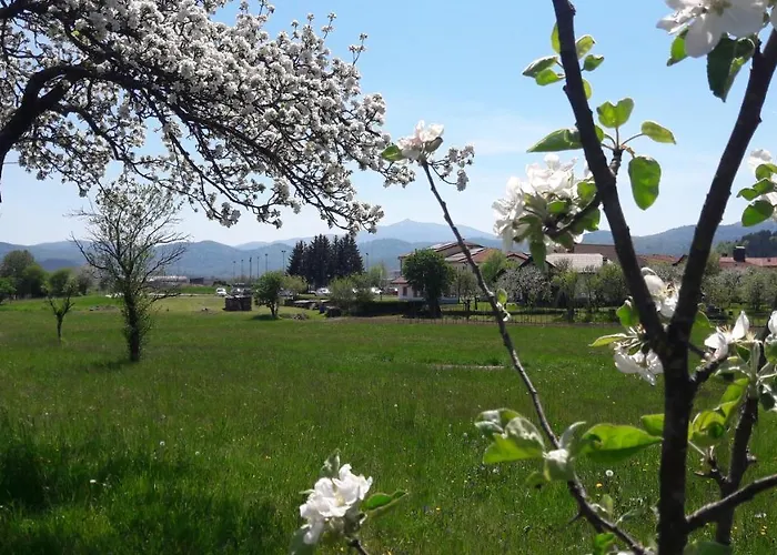 아파트 Apartma Sterle *